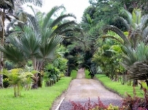 Imagen Jardín Botánico